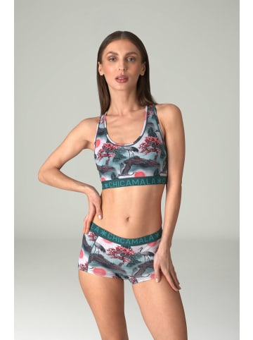 Muchachomalo 3er-Set: Boxershort in Mehrfarbig - für Herren