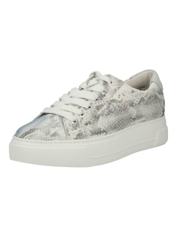 Sneaker Sky