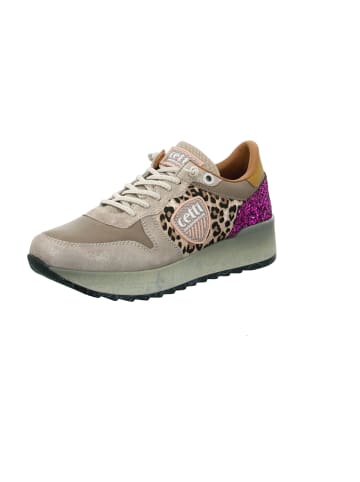 Cetti Plateau Schnürschuhe in Beige