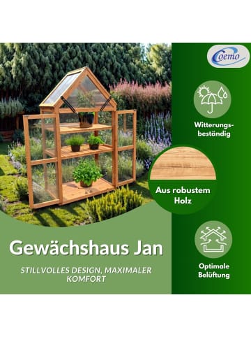 Coemo Gewächshaus Jan für Balkon in Natur