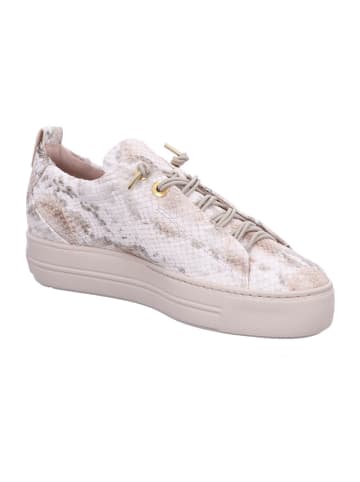 Paul Green Damen- Schnürschuhe 0079-5317-079 in Beige