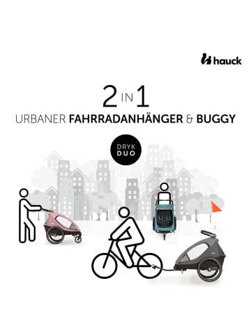 Hauck 2in1 Fahrradanhänger Sparset Dryk Duo in grau1