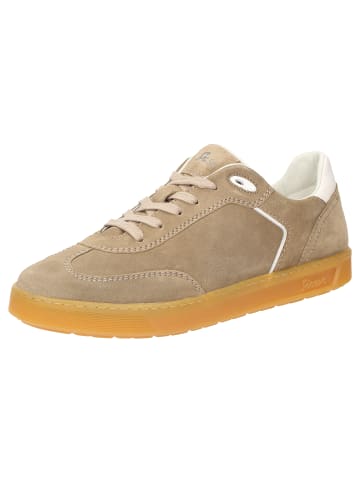 Sioux Sneaker Tedroso-708 in beige