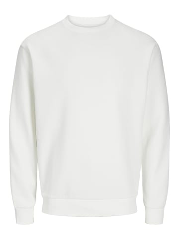Jack & Jones Sweatshirt in Cloud Dancer