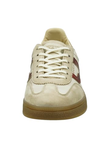 Gant Sneaker Low in Beige