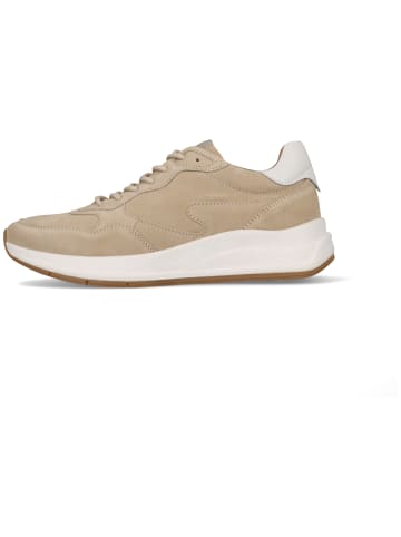 SALAMANDER Sneaker in beige