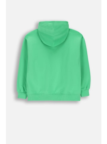 Coccodrillo Kapuzen-sweatshirt in grün