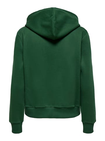 ONLY Kapuzenpullover in Pineneedle