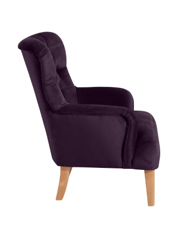 others SESSEL Kaiya Bezug Samtvelours Buche natur / purple