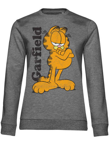 Garfield Pullover in Grau