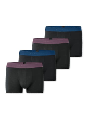 Schiesser Long Short / Pant 95/5 Cotton in Schwarz