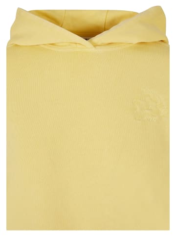 Urban Classics Urban Classics Damen Ladies Short Flower Embroidery Terry Hoody in vintagesun