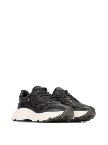 Haboob Haboob TOKIO Damen Sneaker