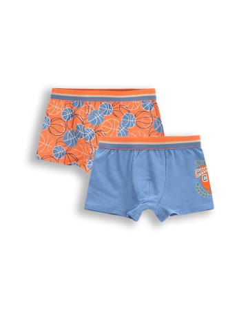 Coccodrillo Unterhose in bunt
