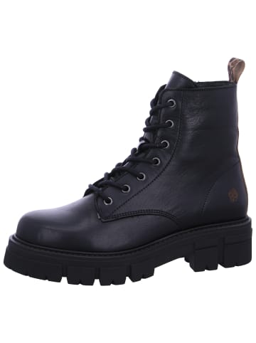 Apple of Eden Schnürstiefel  in Schwarz