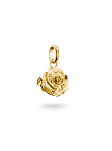 Thomas Sabo Charm-Anhänger Rosenblüte Connect in gold