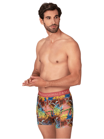 Muchachomalo 6er-Set: Boxershort in Mehrfarbig - für Herren