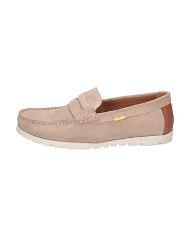 Camel Active Schnürschuh in taupe