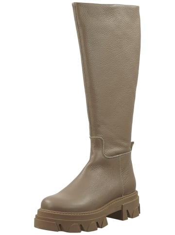 Steve Madden Stiefel in Grau