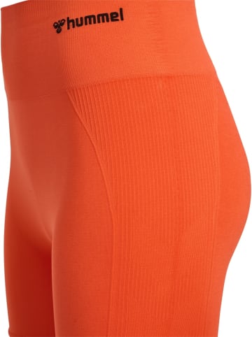 Hummel Short "Tif Seamless Shorts" in Orange