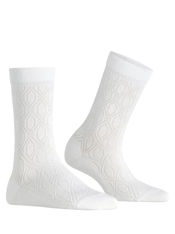 Falke Evolute Socke in White
