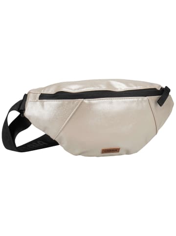 Cabaia Rucksack Belt Bag Iridescent Medium in Honolulu