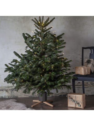 STAR Trading Weihnachtsbaumständer Baumhöhe bis 2,2m mit Wassertank in schwarz