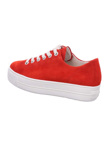 Paul Green Sneaker Low in rot