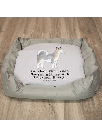 Mr. & Mrs. Panda Hundekörbchen Siberian Husky Moment mit Spruch in Grau Pastell