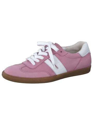 Paul Green Schnürschuhe in rosa