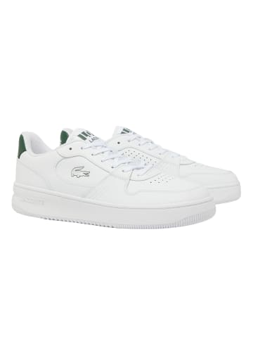 Lacoste Sneaker in Weiß/Grün