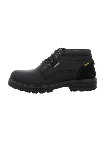Camel Active Schnürboots in Schwarz