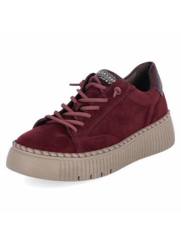 Gabor Low Sneaker in rot
