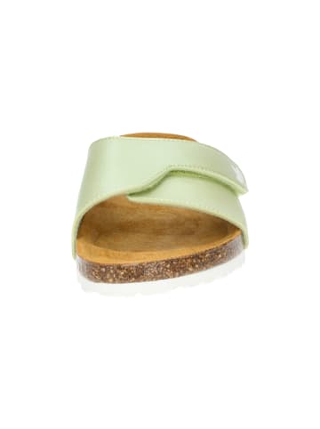 Lico Pantolette "Bioline Clea" in Grün