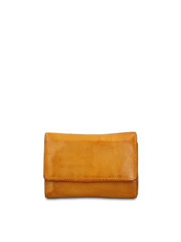 Sergio Valentini Geldbörse in SENAPE