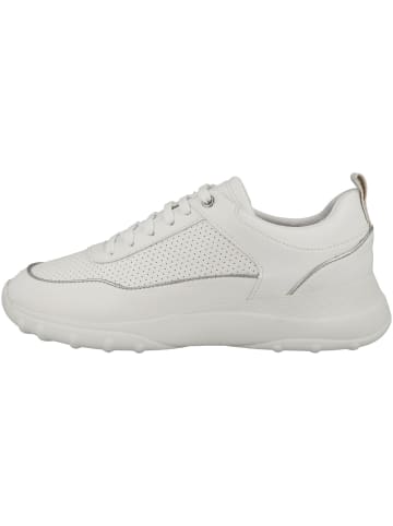 Geox Sneaker low D Alleniee B in beige