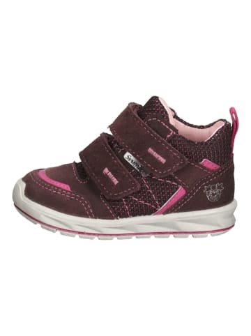 PEPINO Sneaker in Berry