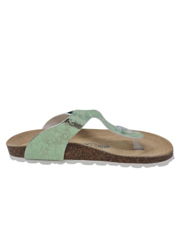Richter Shoes Zehensteg  in Grün