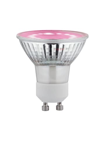 paulmann LED Plant GU10 3,5W