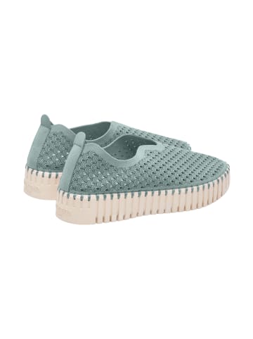 Ilse Jacobsen Sneaker TULIP3373 in Bleached