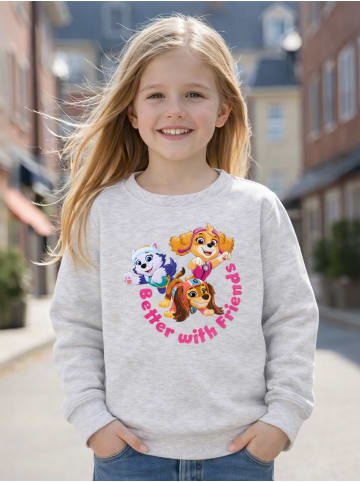 Paw Patrol Paw Patrol Sweatshirt Better with Friends Pullover Oberteil Langarm in grau