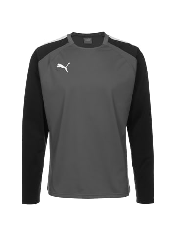 Puma Sweatshirt TeamLIGA in dunkelgrau / schwarz