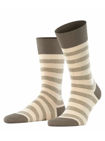 Falke Socken Sensitive Mapped Line in Clay