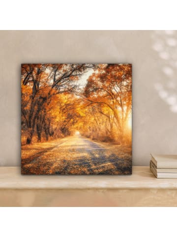 MuchoWow Leinwand Bilder Waldweg