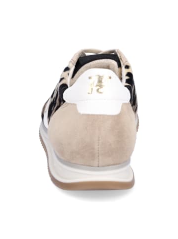 Paul Green Sneaker in Beige Leo
