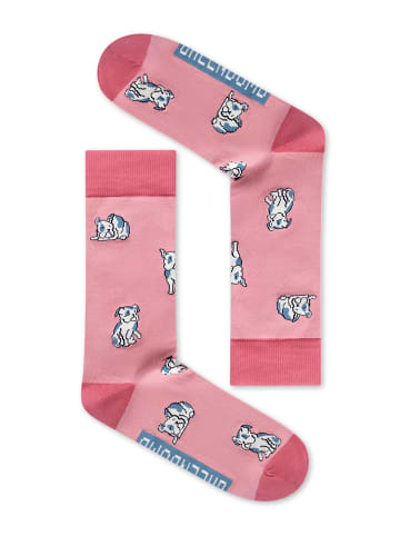 GreenBomb Socks Frenchi in Mix