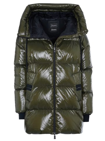Herno Jacke für Damen in grün
