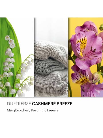 Candle Brothers Duftkerze Candle Brothers "Cashmere Breeze"