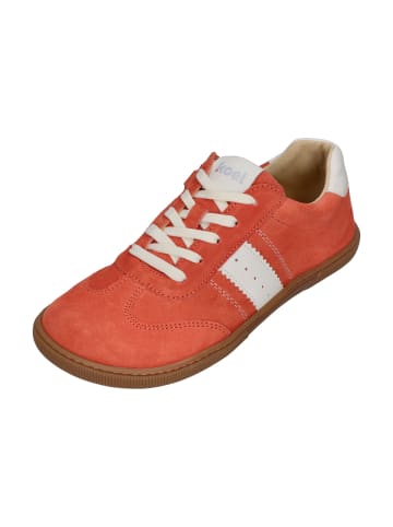 KOEL Sneaker Low DECLAN SUEDE 3.0 in orange