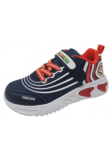 Geox Sneaker Assister Blinker Super Ma in Blau